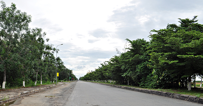 Khu công nghiệp Phú An Thạnh
