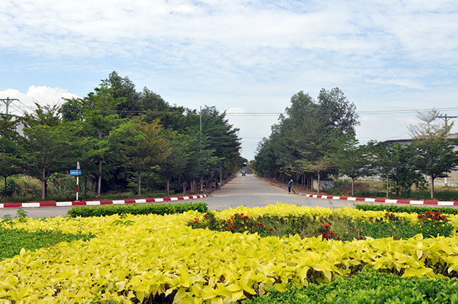 Khu công nghiệp Phú An Thạnh
