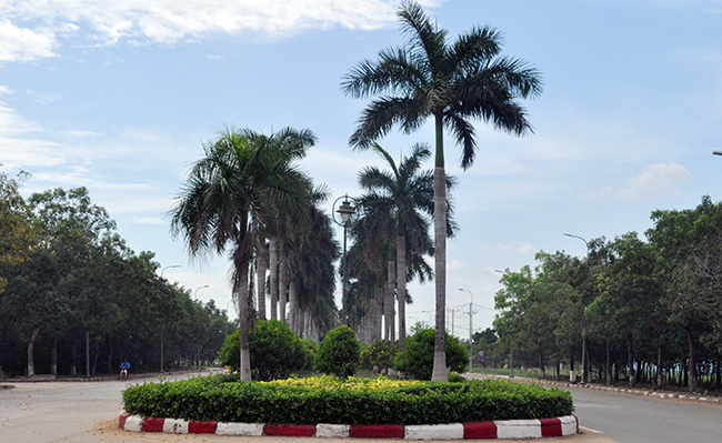 Khu công nghiệp Phú An Thạnh