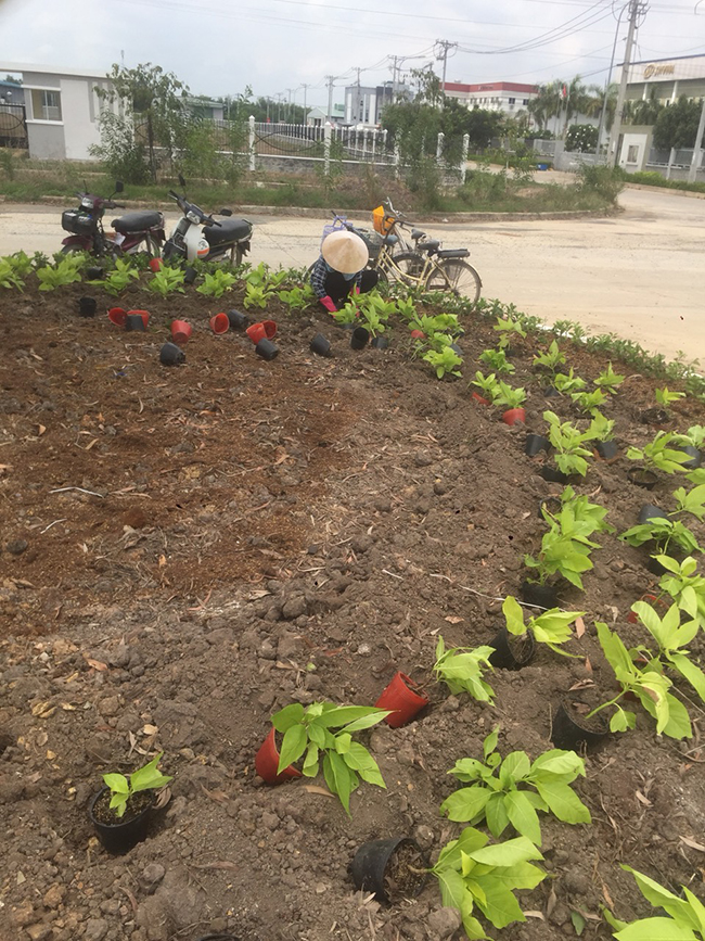 Khu công nghiệp Phú An Thạnh