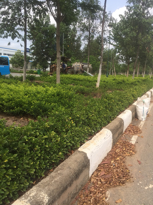 Khu công nghiệp Phú An Thạnh